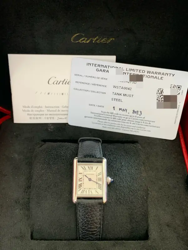 Cartier WSTA0042
