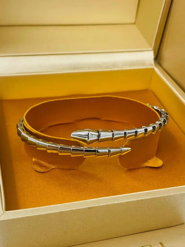Unknown Bvlgari Serpenti Bracelet 750WG 19 6VT99A 2025